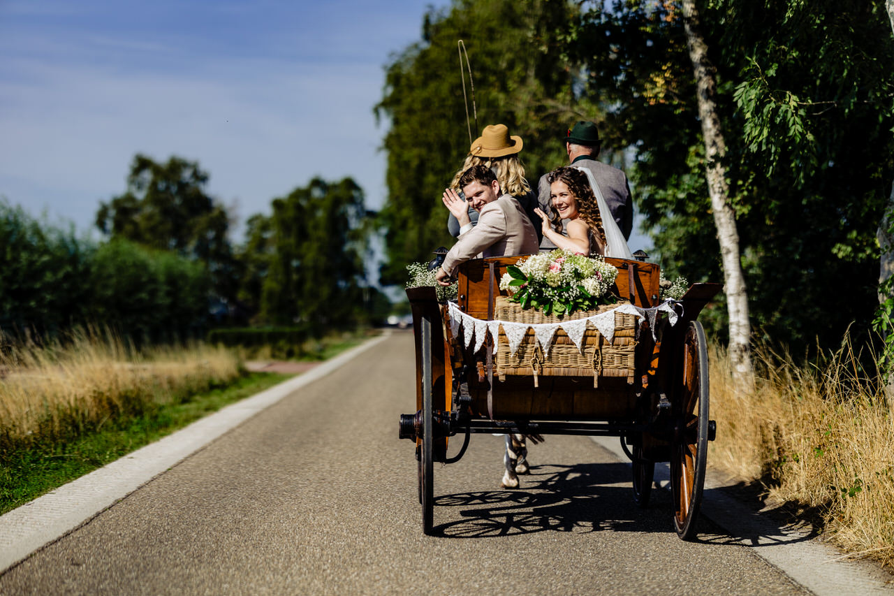 Trouwen tussen het mais | Trouwfotograaf Limburg