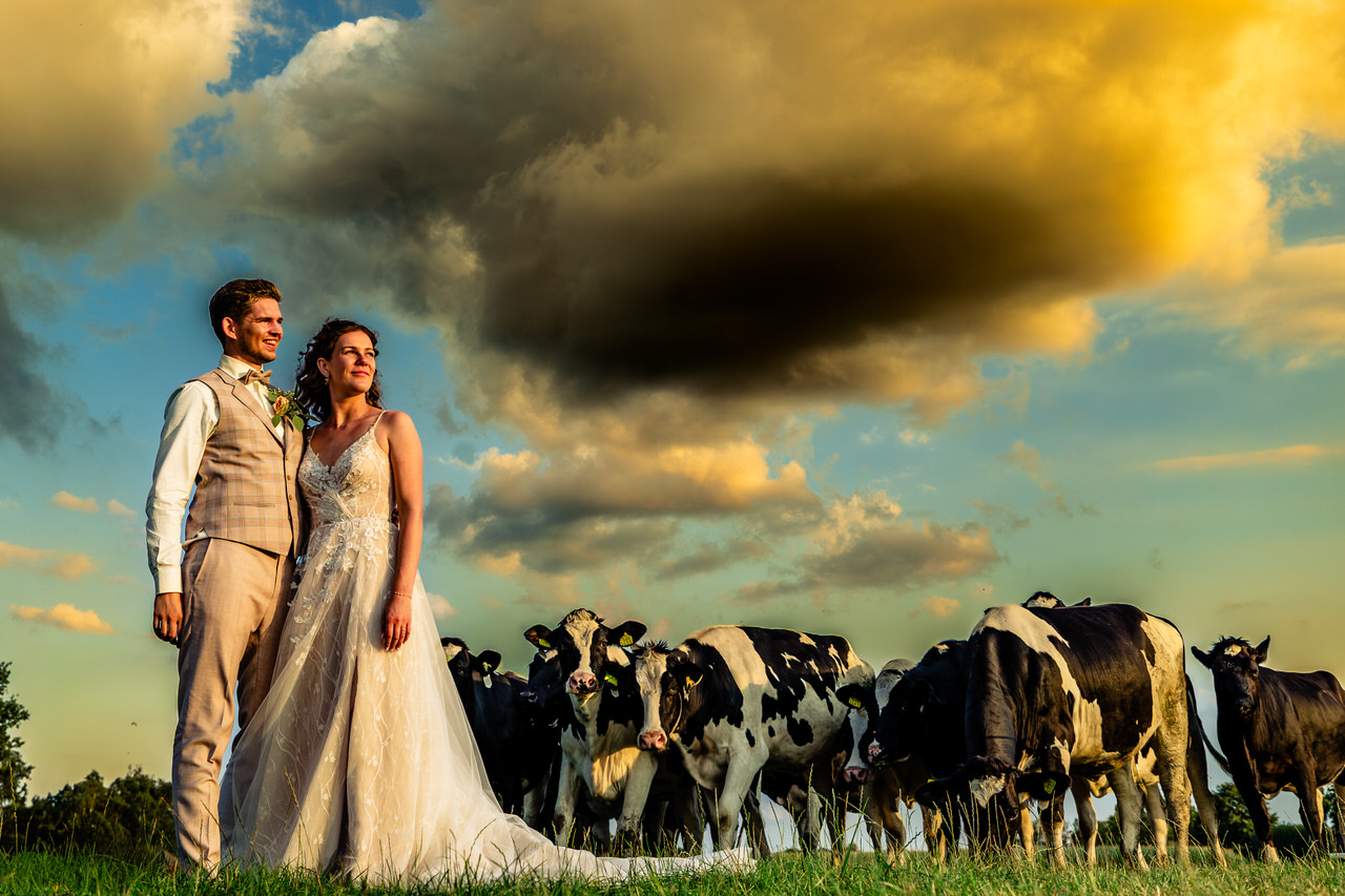Trouwen tussen het mais | Trouwfotograaf Limburg